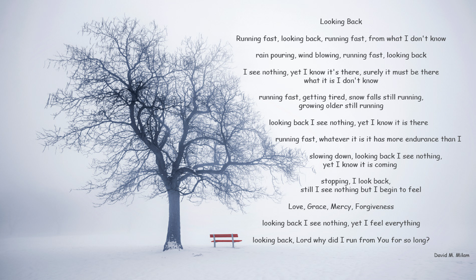 Looking-Back-Winter